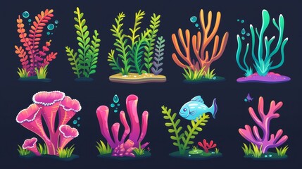 Set of seaweed, coral, algae weed, and fish in a nautical ocean environment. Tropical undersea design.