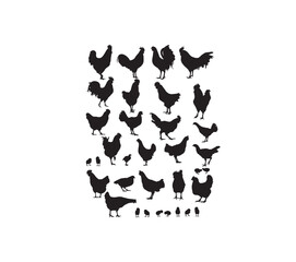 Roosters Silhouettes Set, art vector design