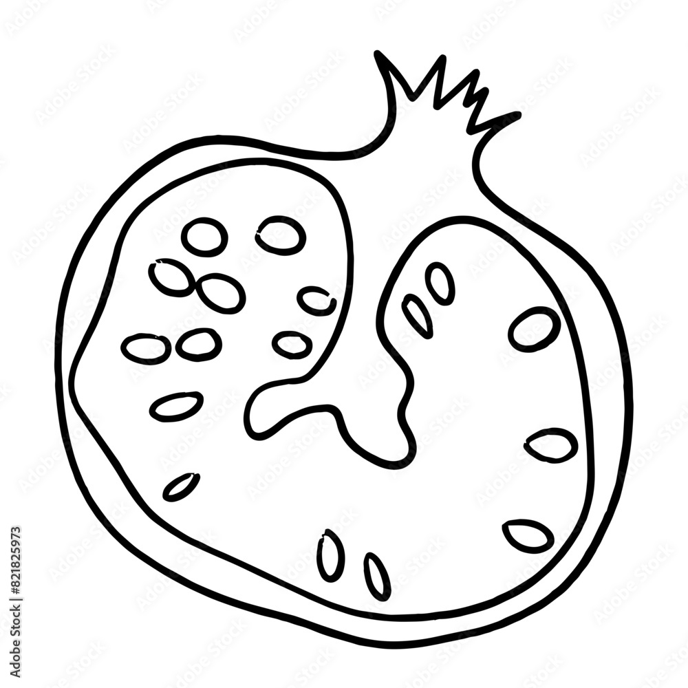 Wall mural Line art granate fruit icon