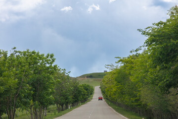 Summer landscape. Road on hillside meadow in mountains. few fir trees of forest bush on both sides of the road, travel