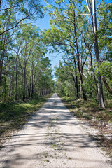 dirt track road through Australian bush countryside, rural remote distance travel journey destination, tree forest gum eucalyptus, escape change leave