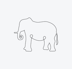 elephant isolated on white