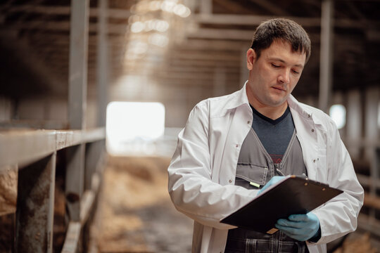 Veterinarian writing and examining medical report at cattle farm