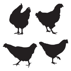 Chicken Silhouette Vector Illustration Bundle