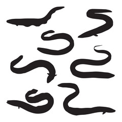 Eel Silhouette Vector Illustration