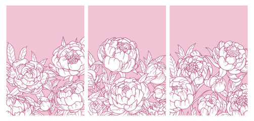 Flower cards with peonies. Japanese spring blossom, natural background. Floral postcards set. Beautiful gorgeous botanical buds, Japan blooms, engraved drawing. Hand-drawn graphic vector illustration © Good Studio