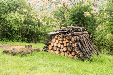 Pile of stacked firewood in rural farm meadow in spring time
