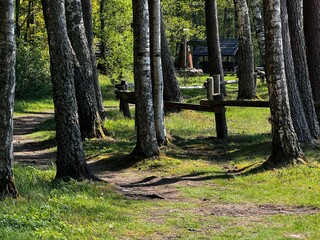 instead of relaxing near the sea