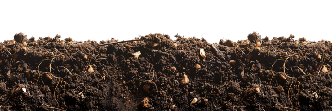 Soil Cross-Section Isolated on Transparent Background