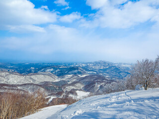 View of snow slopes from the summit on a sunny day (Madarao Kogen, Nagano, Japan)