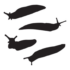 Slug Silhouette Vector Illustration Bundle