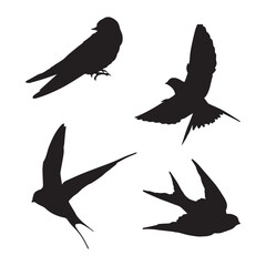 Set of Swallow Birds Silhouette Vector Illustration