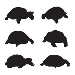 Tortoise Silhouette Vector Illustration Bundle