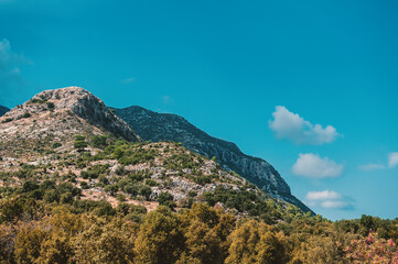 Nature summer background with blue sky, mountain and trees