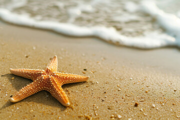 Starfish lying on sand beach by the sea or ocean Summer time 