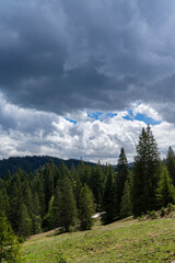 alpine landscape with a path and trees high up in the mountains with sky and clouds