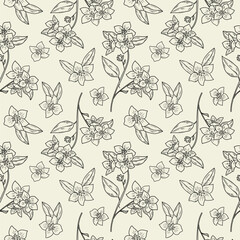 Fototapeta premium Jasmine flower ink sketch hand drawn seamless pattern vector illustration. Repeating background with jasmine plant, leaf, petal. For Herbal green tea, beauty, aroma. Design for label, card, textile