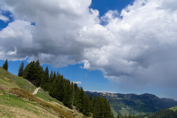 alpine landscape with a path and trees high up in the mountains with sky and clouds