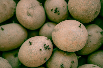 Potatoes with sprouts for planting, spring.