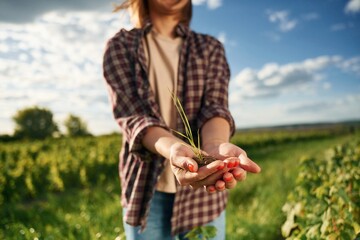 Plant in hands, holding and showing. Young woman is on the beautiful agricultural field at daytime