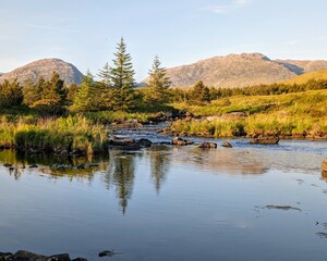 Beautiful landscape scenery, river with mountains and pine trees reflection, nature background Derryclare natural reserve at Connemara national park, county Galway, Ireland, wallpaper