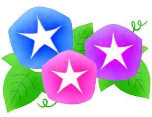 青とピンクと紫の朝顔と葉っぱのイラスト