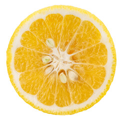 Sweet Yuzu Orange fruit isolated on white background, Kochi Yuzu orange isolated on white...