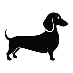 dachshund  Dog silhouette vector illustration on white-background