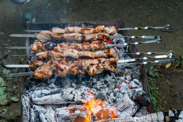 Fried meat on skewers lies on a grill with hot coals
