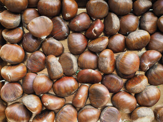 chestnuts food background