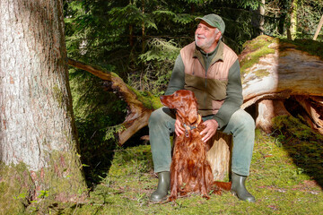 An elderly man sits early in the morning on a tree stump in the sunlit forest. His magnificent...