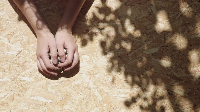 Hands putting bunch of quaill eggs on particle board