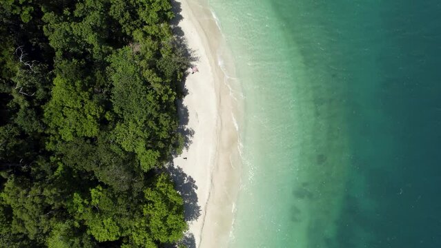 Aerial view of Nudey Beach surrounded by lush forest and turquoise ocean, Fitzroy Island, Queensland, Australia.