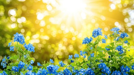 Obraz premium Vibrant blue flowers basking in radiant sunlight