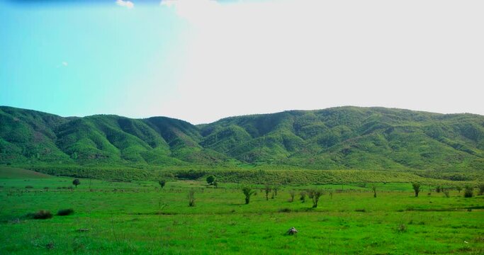 A green valley and a lush mountain in the background. Turkey, Bingol, Genc