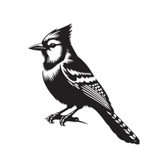Minimalist Blue Jay Vector Silhouette: The Vibrant Energy and Grace of These Iconic Birds- Blue Jay Illustration - Bird Silhouette.