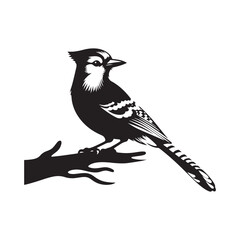 Minimalist Blue Jay Vector Silhouette: The Vibrant Energy and Grace of These Iconic Birds- Blue Jay Illustration - Bird Silhouette.
