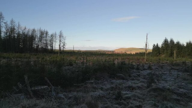Aerial view of tranquil forest and expansive horizon at Carter Burn, Jedburgh, Scotland, United Kingdom.