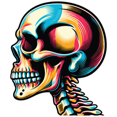 skeleton in pop colors vector illustration