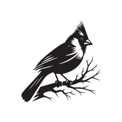 Cardinal Silhouette: Black Vector Art - Capturing the Bold Elegance and Distinctive Presence of These Iconic Birds- Cardinal bird Vector - Cardinal Bird Illustration.