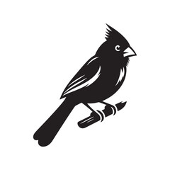 Obraz premium Cardinal Silhouette: Black Vector Art - Capturing the Bold Elegance and Distinctive Presence of These Iconic Birds- Cardinal bird Vector - Cardinal Bird Illustration.