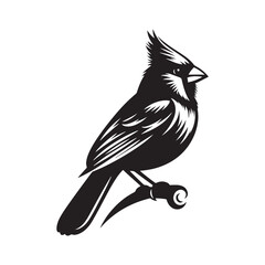 Cardinal Silhouette: Black Vector Art - Capturing the Bold Elegance and Distinctive Presence of These Iconic Birds- Cardinal bird Vector - Cardinal Bird Illustration.