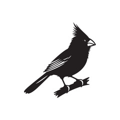 Cardinal Silhouette: Black Vector Art - Capturing the Bold Elegance and Distinctive Presence of These Iconic Birds- Cardinal bird Vector - Cardinal Bird Illustration.