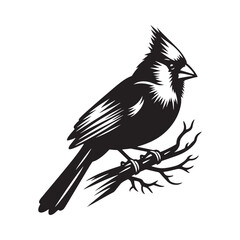 Cardinal Silhouette: Black Vector Art - Capturing the Bold Elegance and Distinctive Presence of These Iconic Birds- Cardinal bird Vector - Cardinal Bird Illustration.