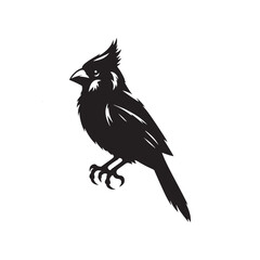 Cardinal Silhouette: Black Vector Art - Capturing the Bold Elegance and Distinctive Presence of These Iconic Birds- Cardinal bird Vector - Cardinal Bird Illustration.