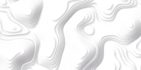 Abstract white paper cut background with lines. Background of the topographic map. White wave paper curved reliefs abstract background. Realistic papercut decoration textured with wavy layers.