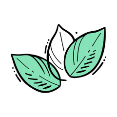Leaves Mint stylized doodle, contour drawing mint color, isolated on white background. Vector illustration