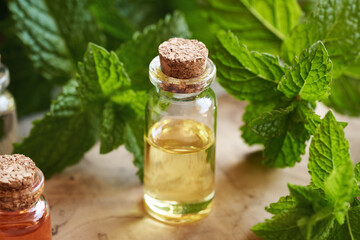 A glass bottle of aromatherapy essential oil with fresh peppermint leaves