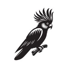 Cockatoo Silhouette: Bold Black Vector Art Capturing the Majestic Beauty and Charisma of These Iconic Parrots- Cockatoo Parrot Vector- Cockatoo Parrot Illustration.