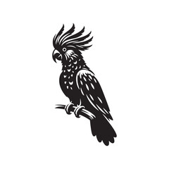 Cockatoo Silhouette: Bold Black Vector Art Capturing the Majestic Beauty and Charisma of These Iconic Parrots- Cockatoo Parrot Vector- Cockatoo Parrot Illustration.